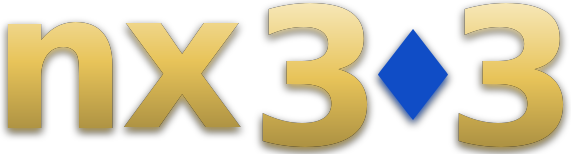 nx 303 logo